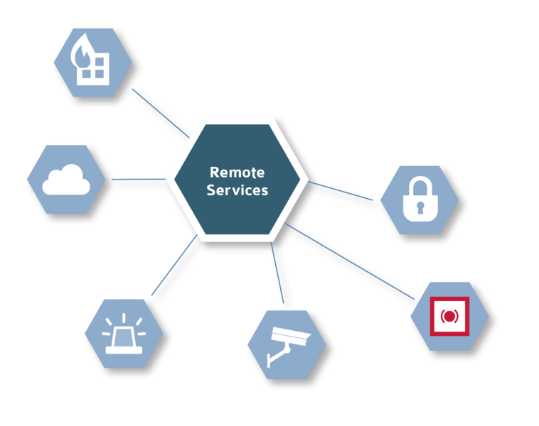 Remote Services TAS